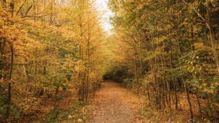 - <a href="https://wanderstruck.de">© Michael Stollmann</a> Huenenteich Wanderung - © Michael Stollmann
