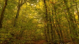 - <a href="https://wanderstruck.de">© Michael Stollmann</a> Huenenteich Wanderung - © Michael Stollmann