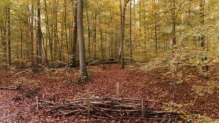 - <a href="https://wanderstruck.de">© Michael Stollmann</a> Huenenteich Wanderung - © Michael Stollmann