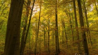 - <a href="https://wanderstruck.de">© Michael Stollmann</a> Huenenteich Wanderung - © Michael Stollmann