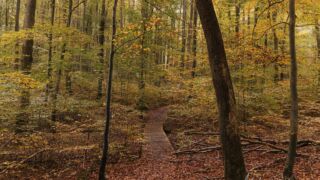 - <a href="https://wanderstruck.de">© Michael Stollmann</a> Huenenteich Wanderung - © Michael Stollmann