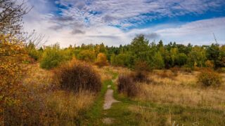 - <a href="https://wanderstruck.de">© Michael Stollmann</a> Huenenteich Wanderung - © Michael Stollmann