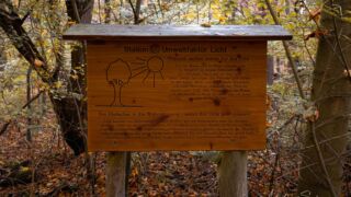 - <a href="https://wanderstruck.de">© Michael Stollmann</a> Huenenteich Wanderung - © Michael Stollmann