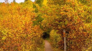 - <a href="https://wanderstruck.de">© Michael Stollmann</a> Huenenteich Wanderung - © Michael Stollmann