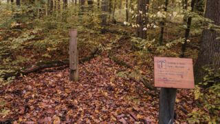 - <a href="https://wanderstruck.de">© Michael Stollmann</a> Huenenteich Wanderung - © Michael Stollmann