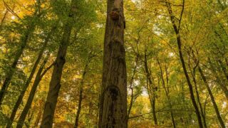 - <a href="https://wanderstruck.de">© Michael Stollmann</a> Huenenteich Wanderung - © Michael Stollmann