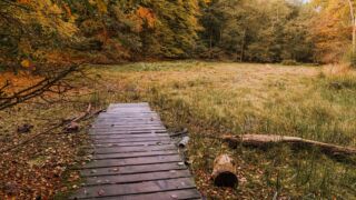 auch hier nicht wirklich Wasser zu sehen im Huehnenteich. - <a href="https://wanderstruck.de">© Michael Stollmann</a> Huenenteich Wanderung - © Michael Stollmann