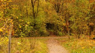 - <a href="https://wanderstruck.de">© Michael Stollmann</a> Huenenteich Wanderung - © Michael Stollmann
