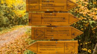 - <a href="https://wanderstruck.de">© Michael Stollmann</a> Huenenteich Wanderung - © Michael Stollmann
