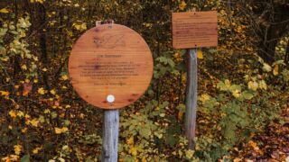 Die Sterntaler - <a href="https://wanderstruck.de">© Michael Stollmann</a> Feensteig Rundwanderung - © Michael Stollmann
