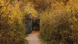 das Tor zum Hainich - <a href="https://wanderstruck.de">© Michael Stollmann</a> Feensteig Rundwanderung - © Michael Stollmann