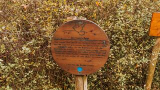 Dornröschen - <a href="https://wanderstruck.de">© Michael Stollmann</a> Feensteig Rundwanderung - © Michael Stollmann