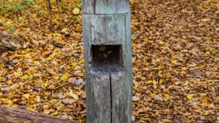 Habt ihr euch getraut? - <a href="https://wanderstruck.de">© Michael Stollmann</a> Feensteig Rundwanderung - © Michael Stollmann