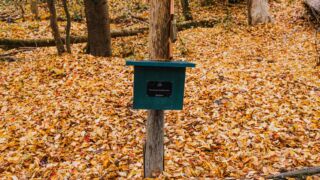Toruingen Stempel Nummer 32 - Jungbrunnen - <a href="https://wanderstruck.de">© Michael Stollmann</a> Feensteig Rundwanderung - © Michael Stollmann