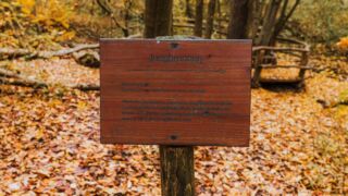 Jungbrunnen - <a href="https://wanderstruck.de">© Michael Stollmann</a> Feensteig Rundwanderung - © Michael Stollmann