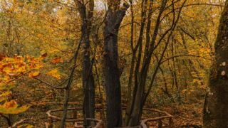 Jungbrunnen - <a href="https://wanderstruck.de">© Michael Stollmann</a> Feensteig Rundwanderung - © Michael Stollmann